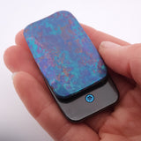 Exotic Custom Slider: EXD093 - Squashed Toad