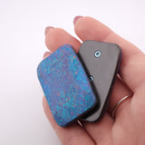 Exotic Custom Slider: EXD144 - Squashed Toad