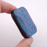 Exotic Custom Slider: EXD149 - Squashed Toad
