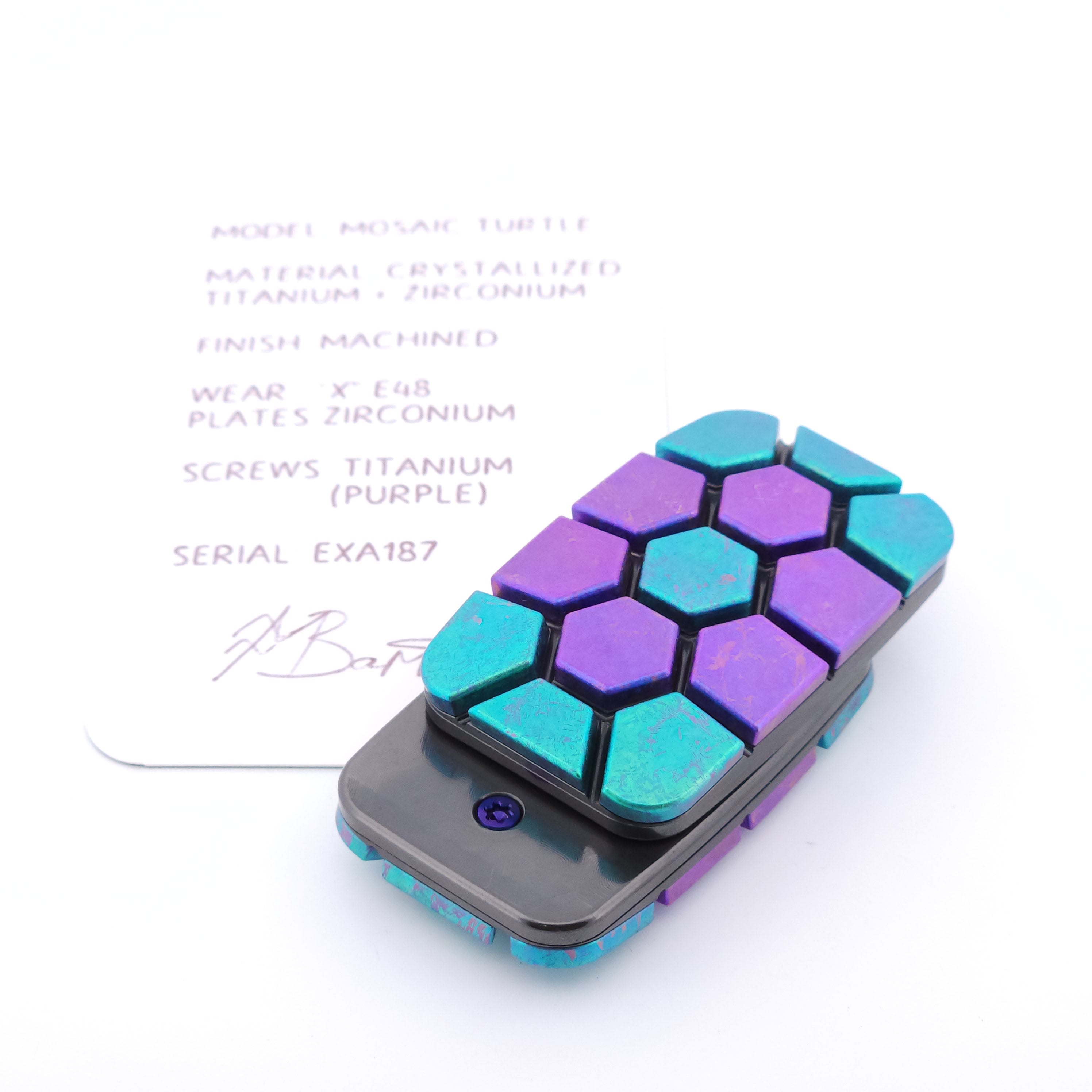 Exotic Custom Slider: EXA187 - Mosaic Turtle