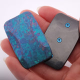 Exotic Custom Slider: EXD095 - Squashed Toad