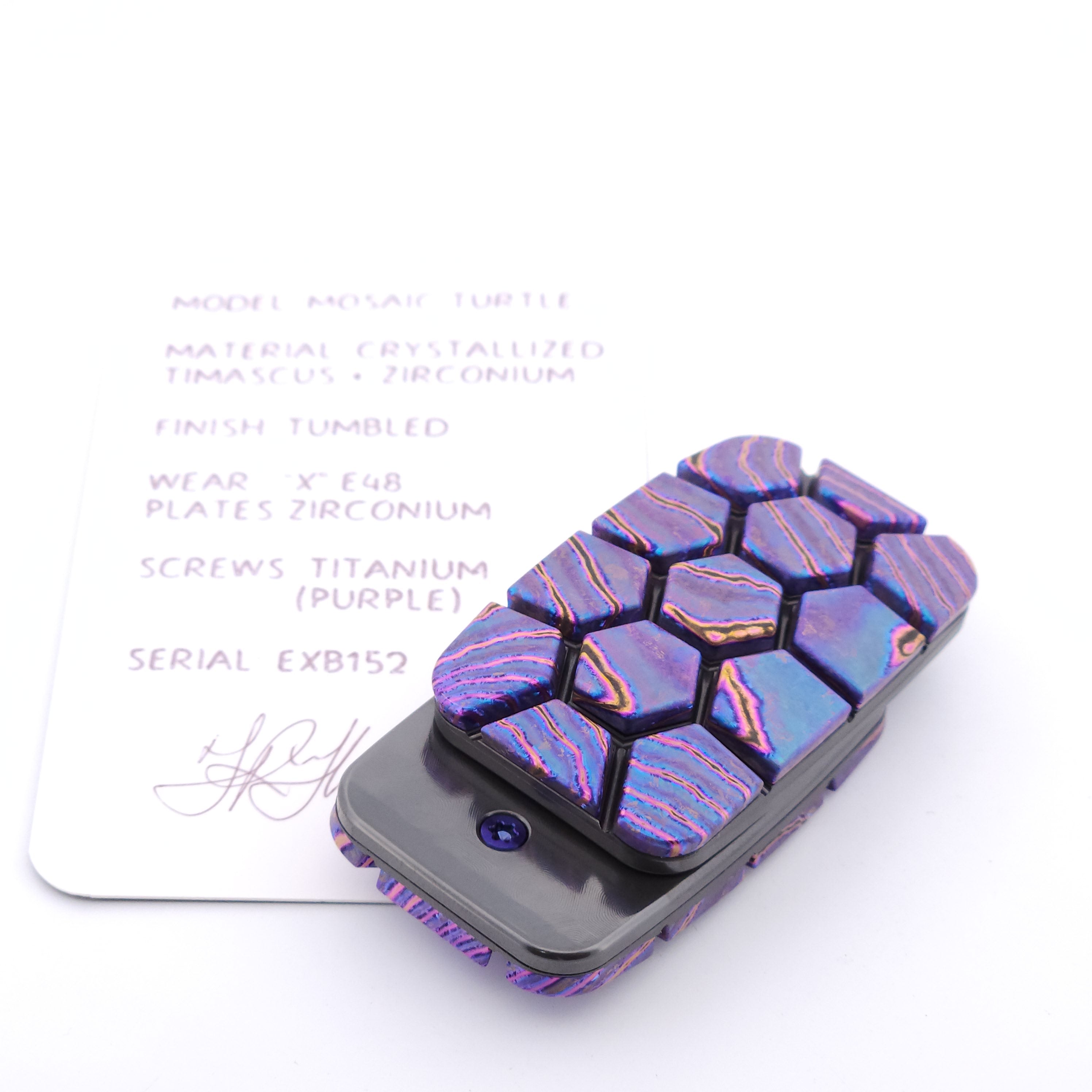 Exotic Custom Slider: EXB152 - Mosaic Turtle