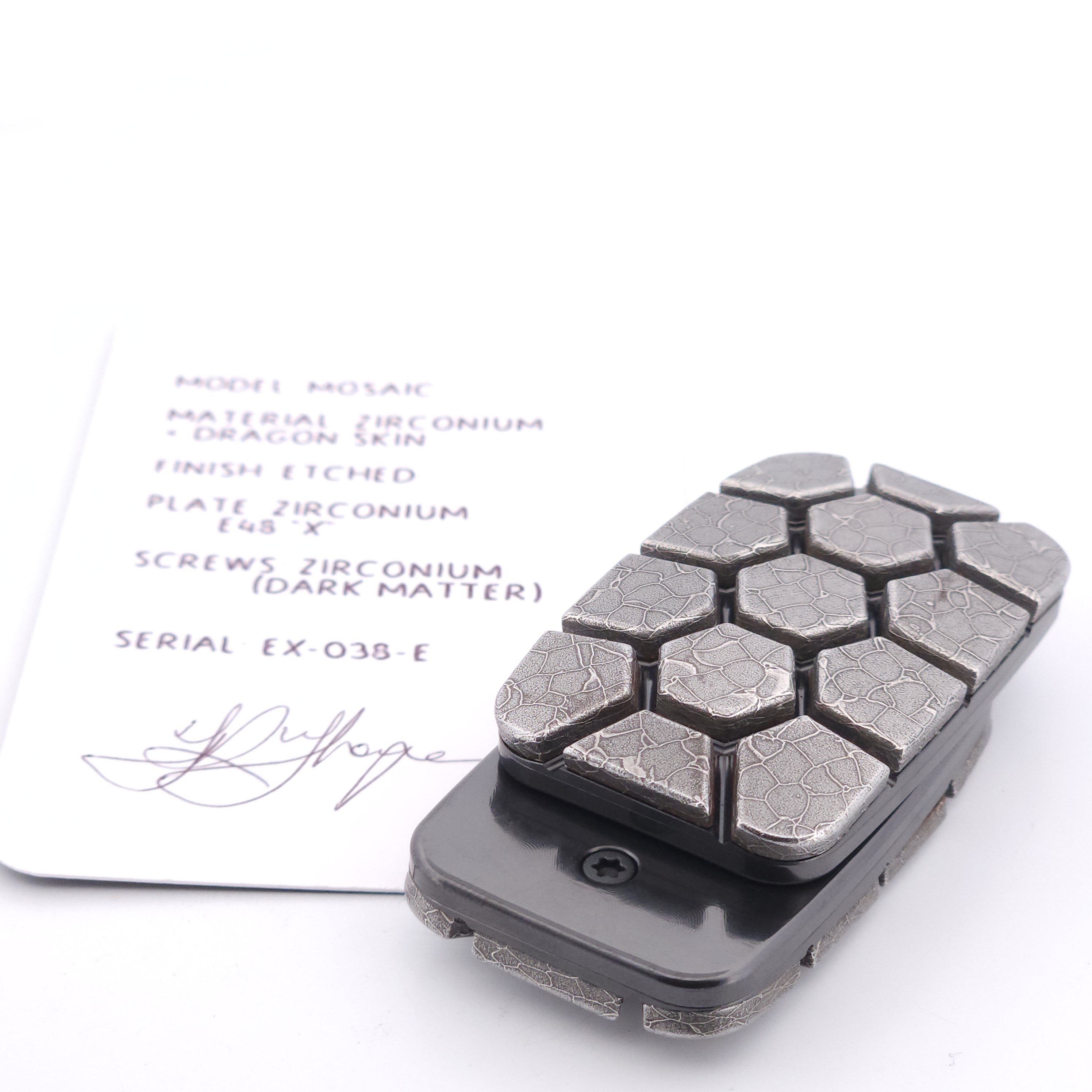 EX-038-E : Mosaic Turtle
