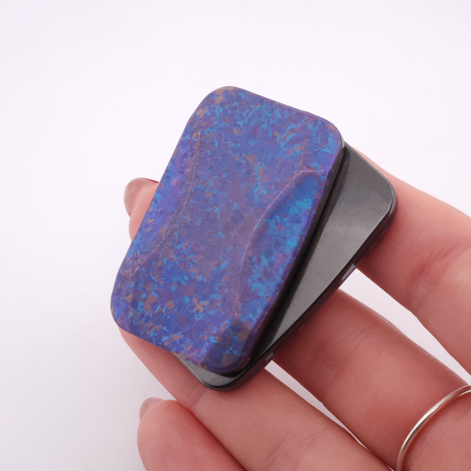 Exotic Custom Slider: EXD124 -  Squashed Toad