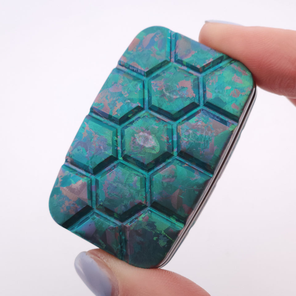 Exotic Custom Slider: EXD119 - Turtle