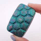 Exotic Custom Slider: EXD119 - Turtle