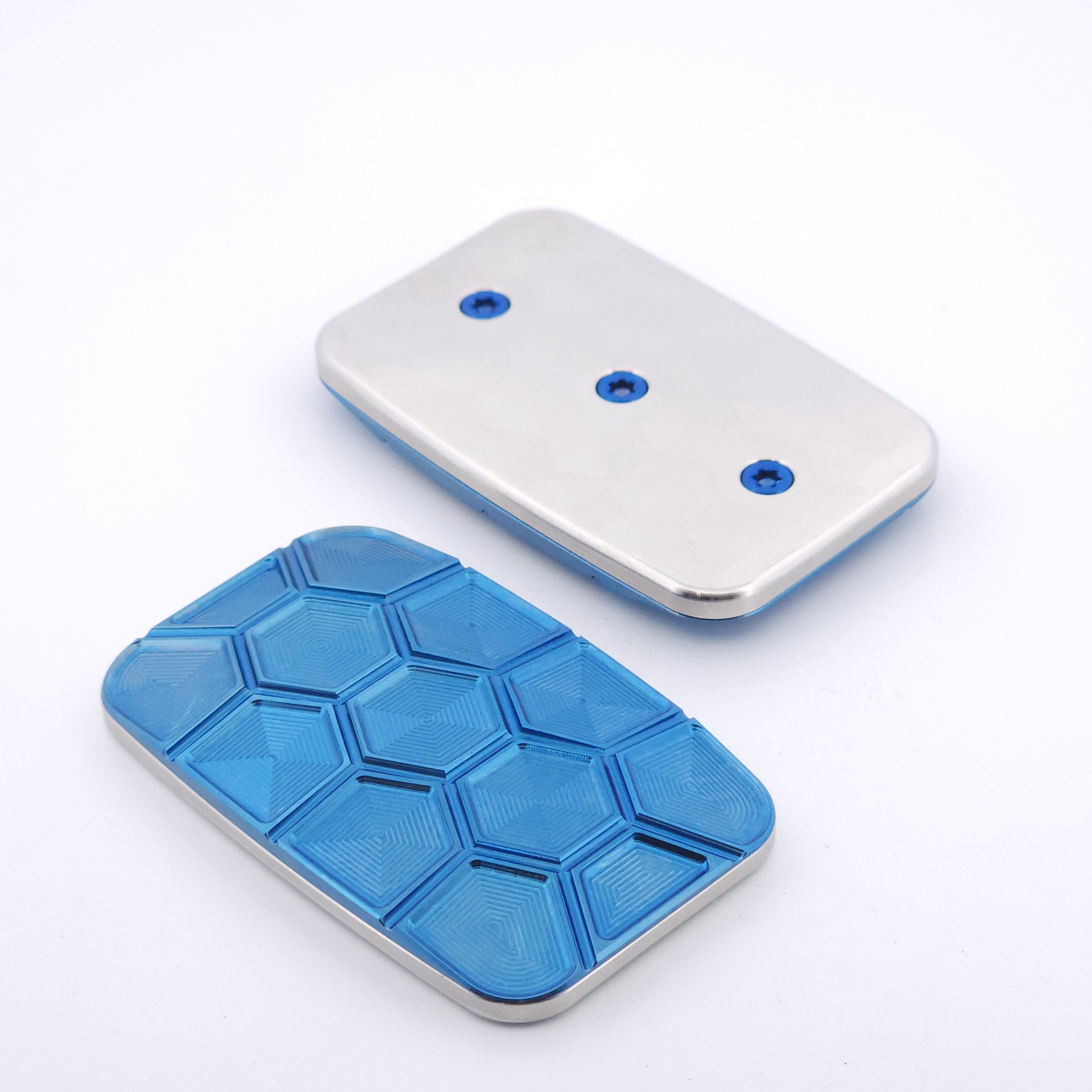 TAH337 - Flat Turtle "Inverse"