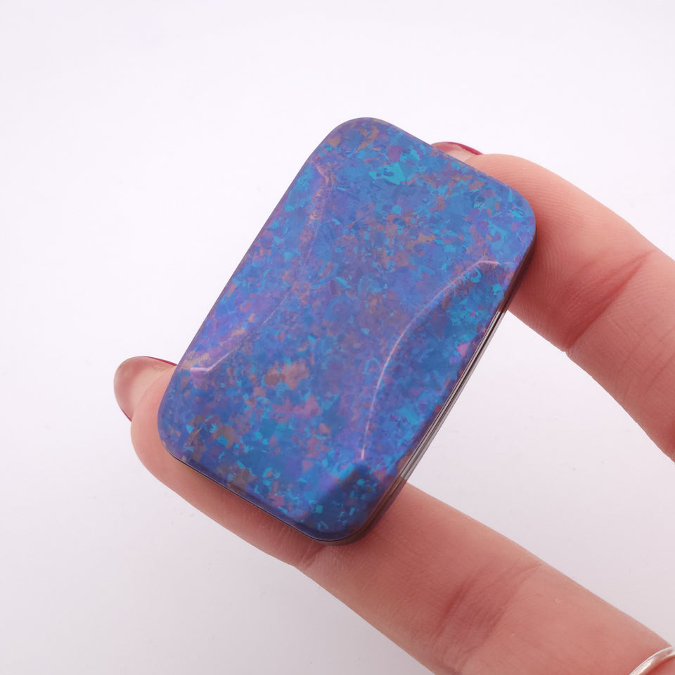 Exotic Custom Slider: EXD125 -  Squashed Toad