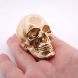 Skull - Brass