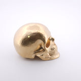 Skull - Brass