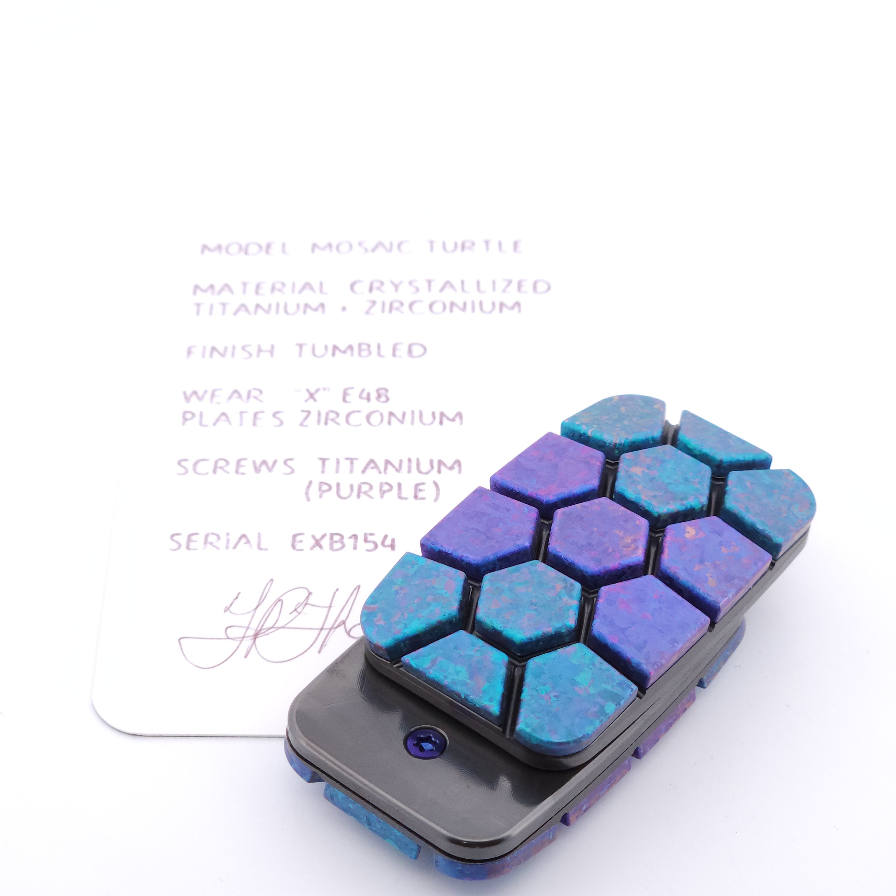 Exotic Custom Slider: EXB154 - Mosaic Turtle