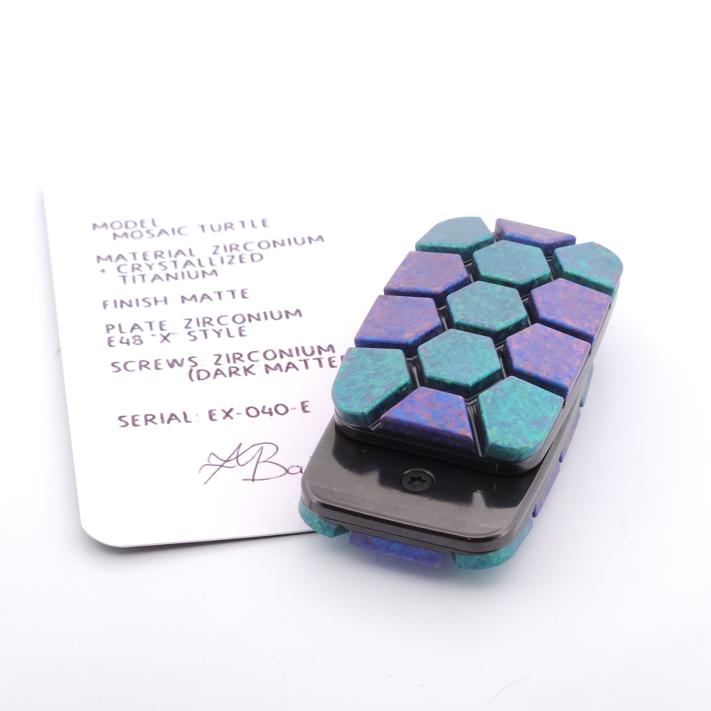 EX-040-E : Mosaic Turtle