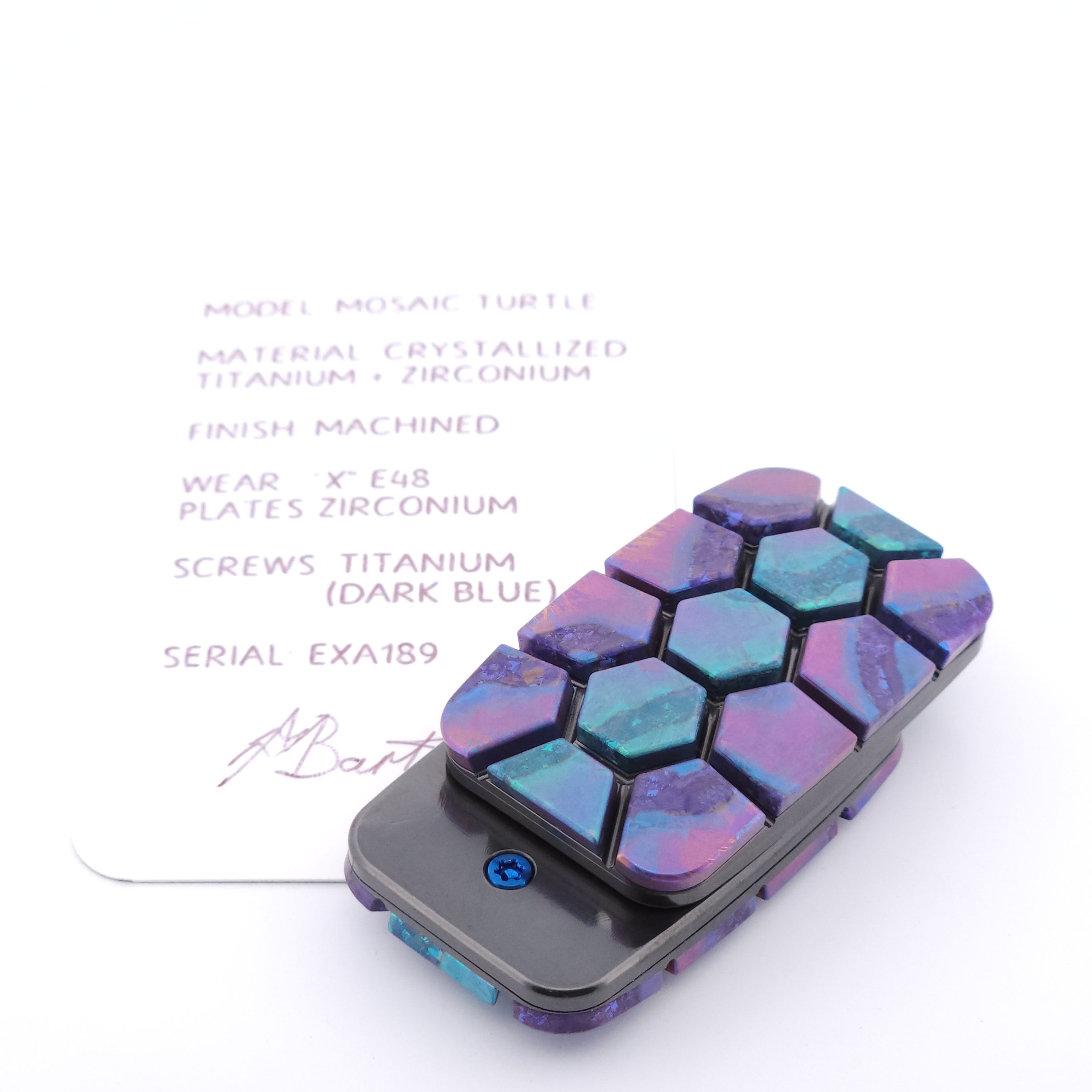 Exotic Custom Slider: EXA189 - Mosaic Turtle