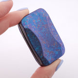 Exotic Custom Slider: EXD145 - Squashed Toad *BLEM*
