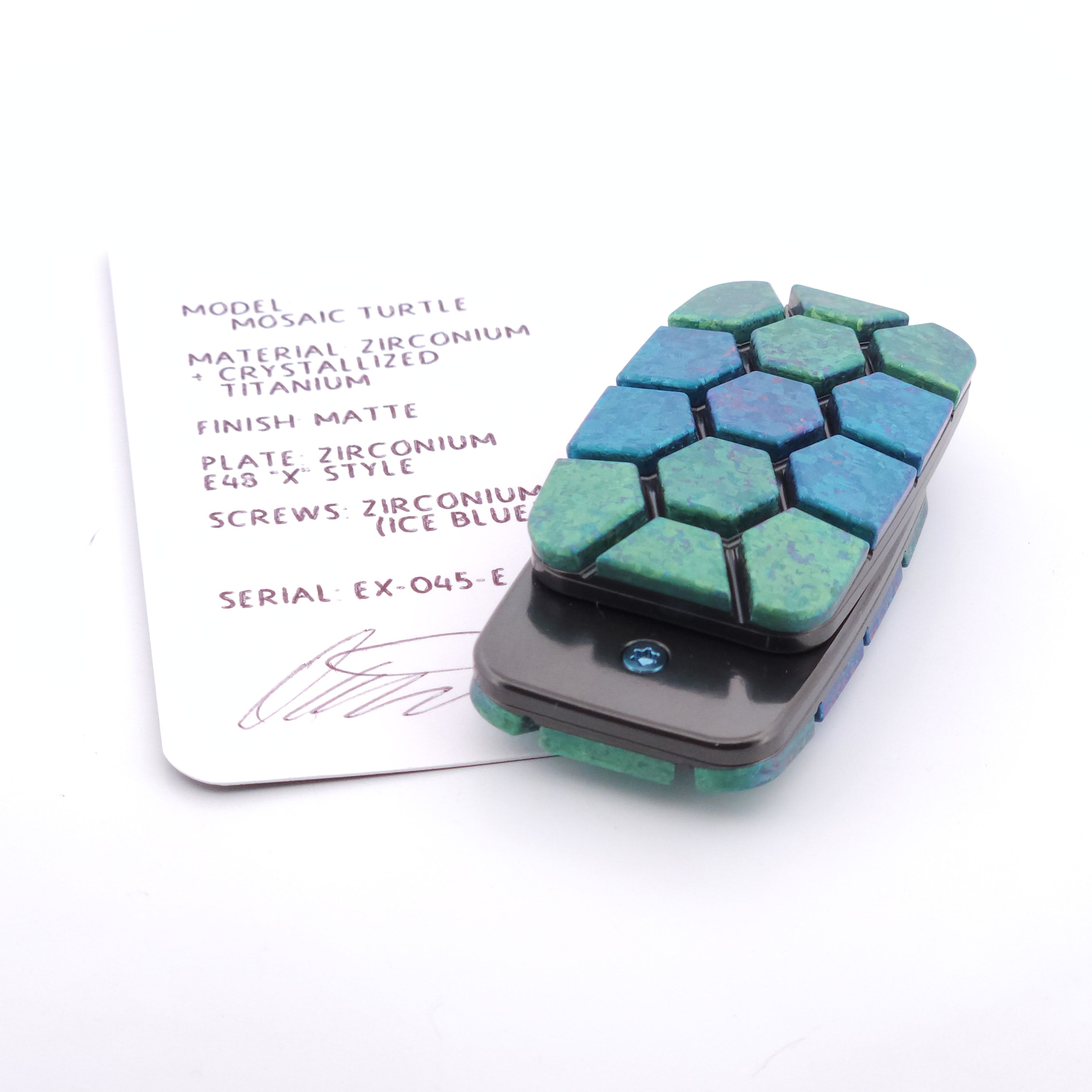EX-045-E : Mosaic Turtle