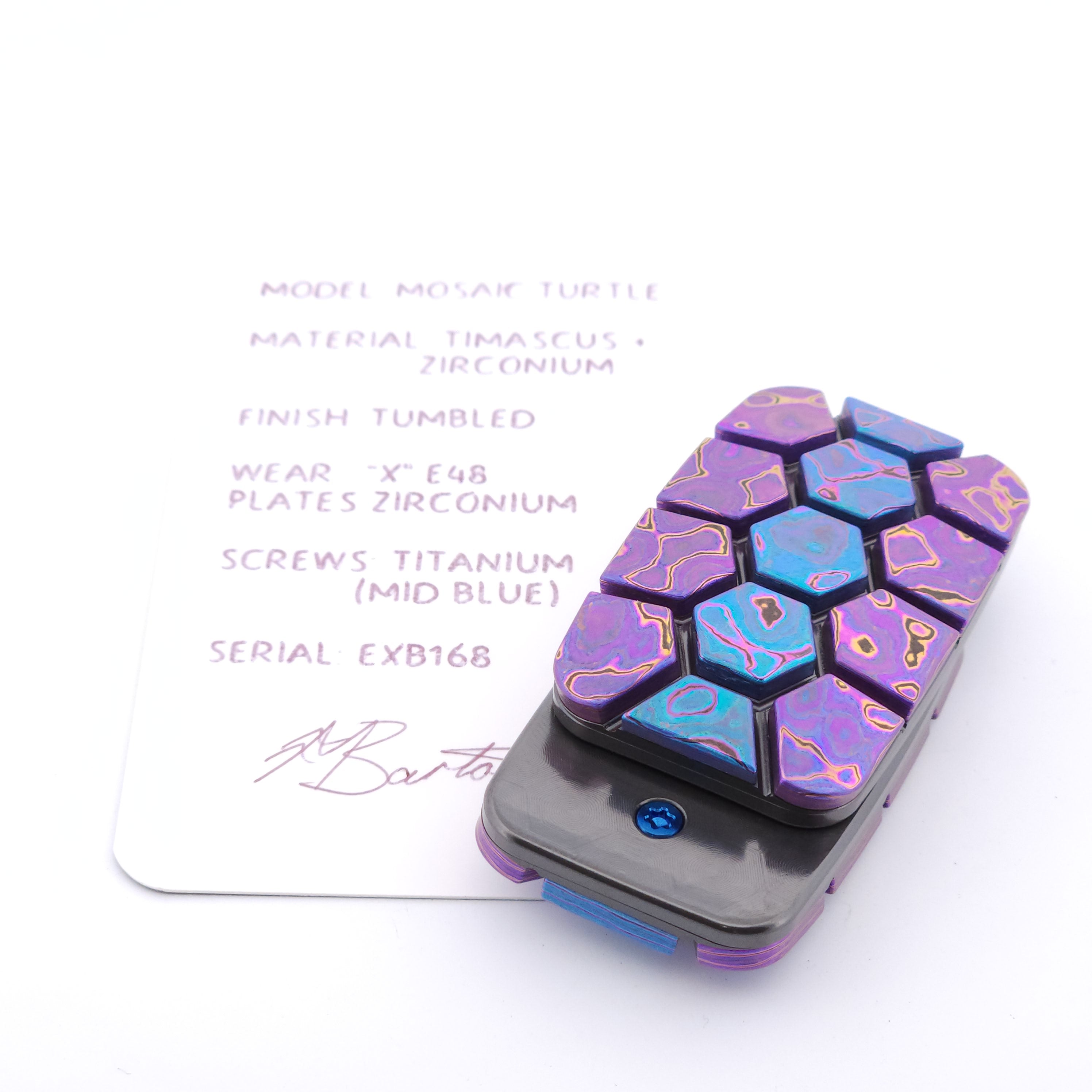 Exotic Custom Slider: EXB168 - Mosaic Turtle