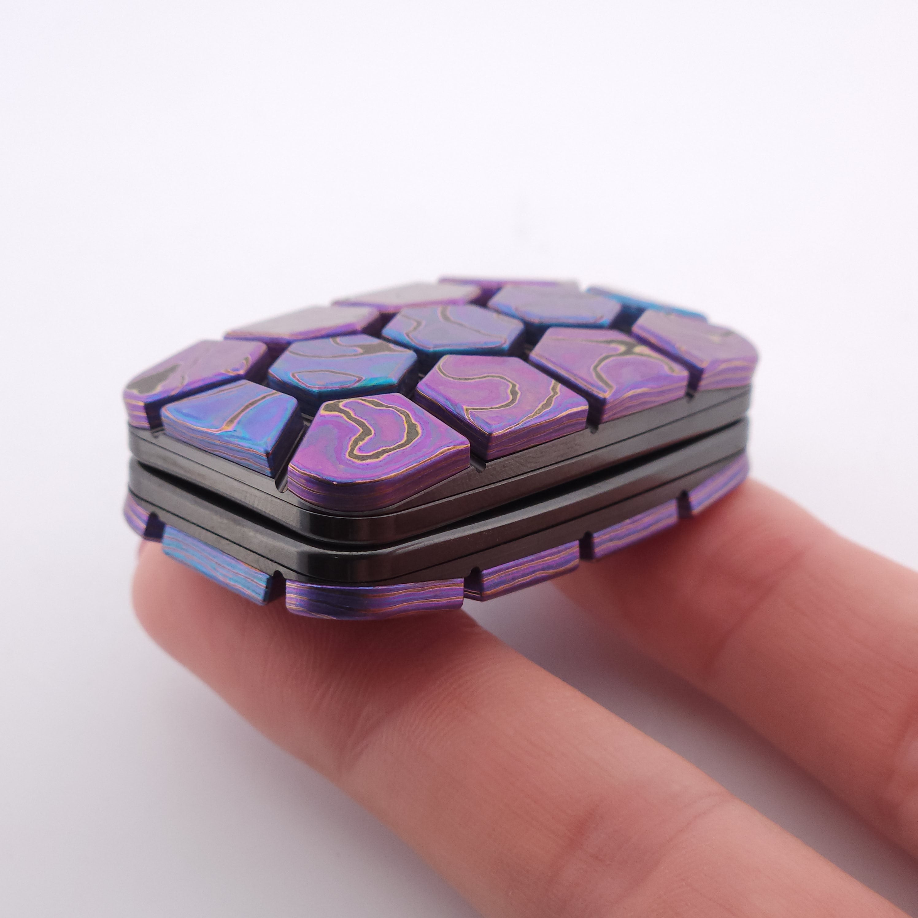 Exotic Custom Slider: EXD077 - Mosaic Turtle