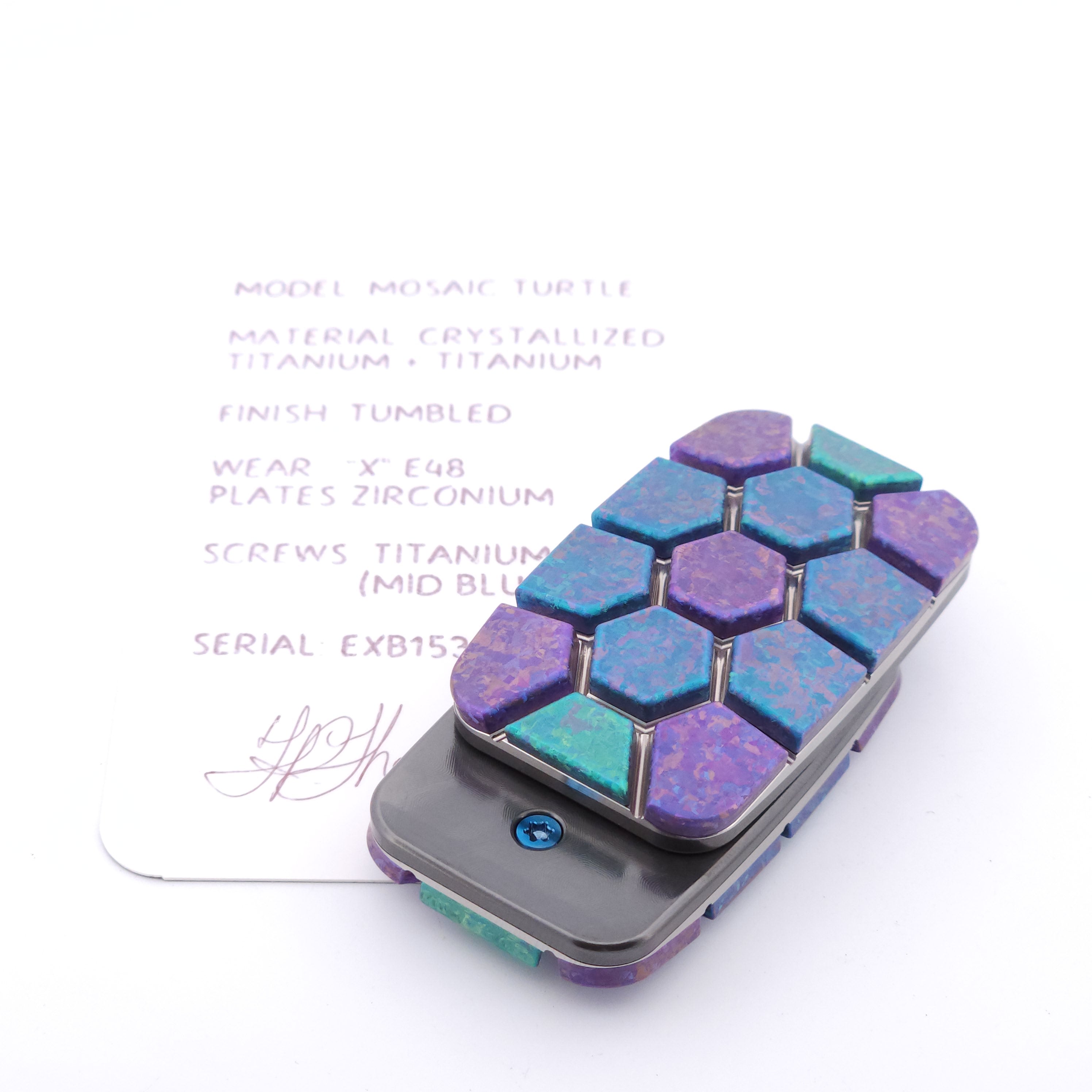 Exotic Custom Slider: EXB153 - Mosaic Turtle