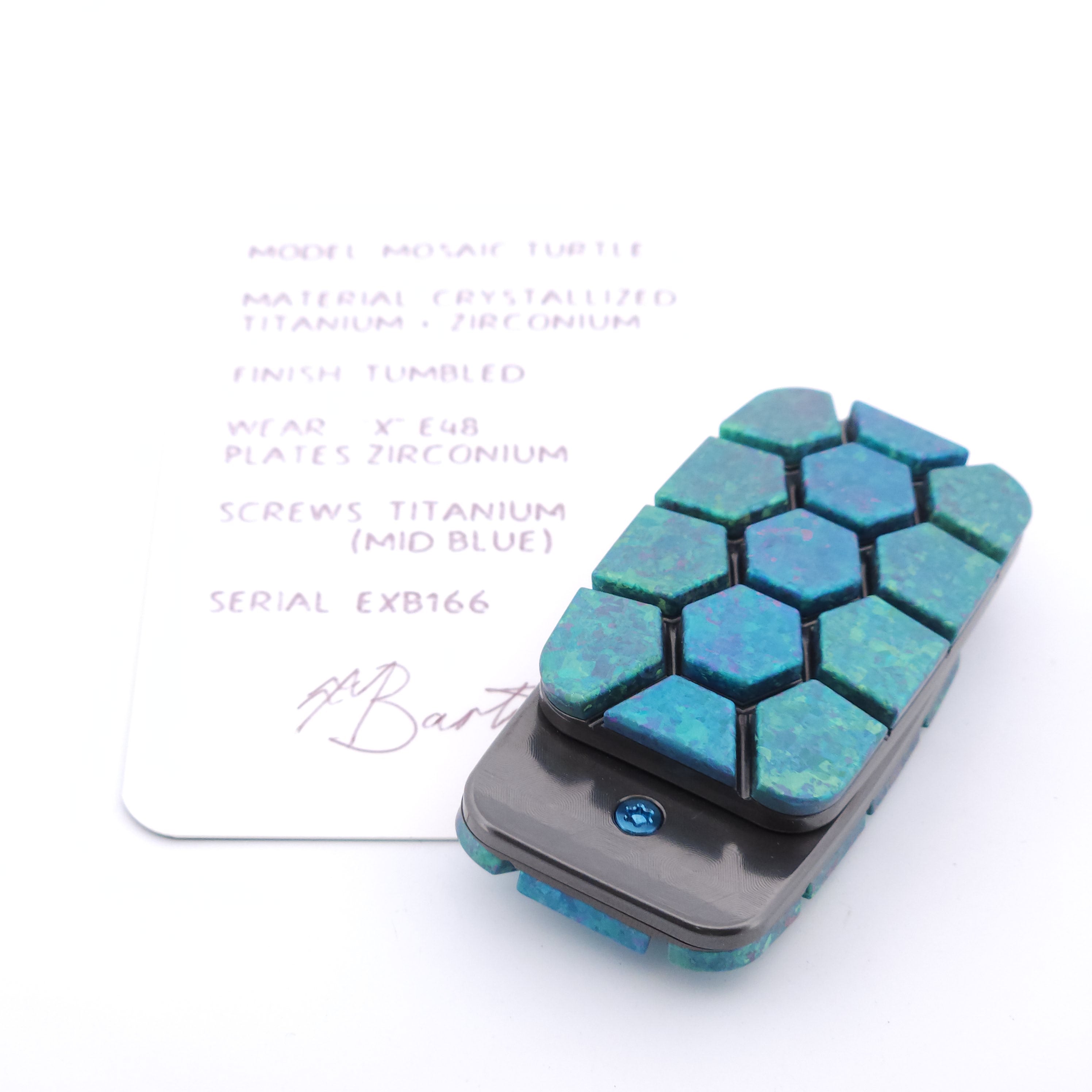 Exotic Custom Slider: EXB166 - Mosaic Turtle