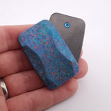 Exotic Custom Slider: EXD149 - Squashed Toad