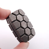 Exotic Custom Slider: EXD173 - Mosaic Turtle