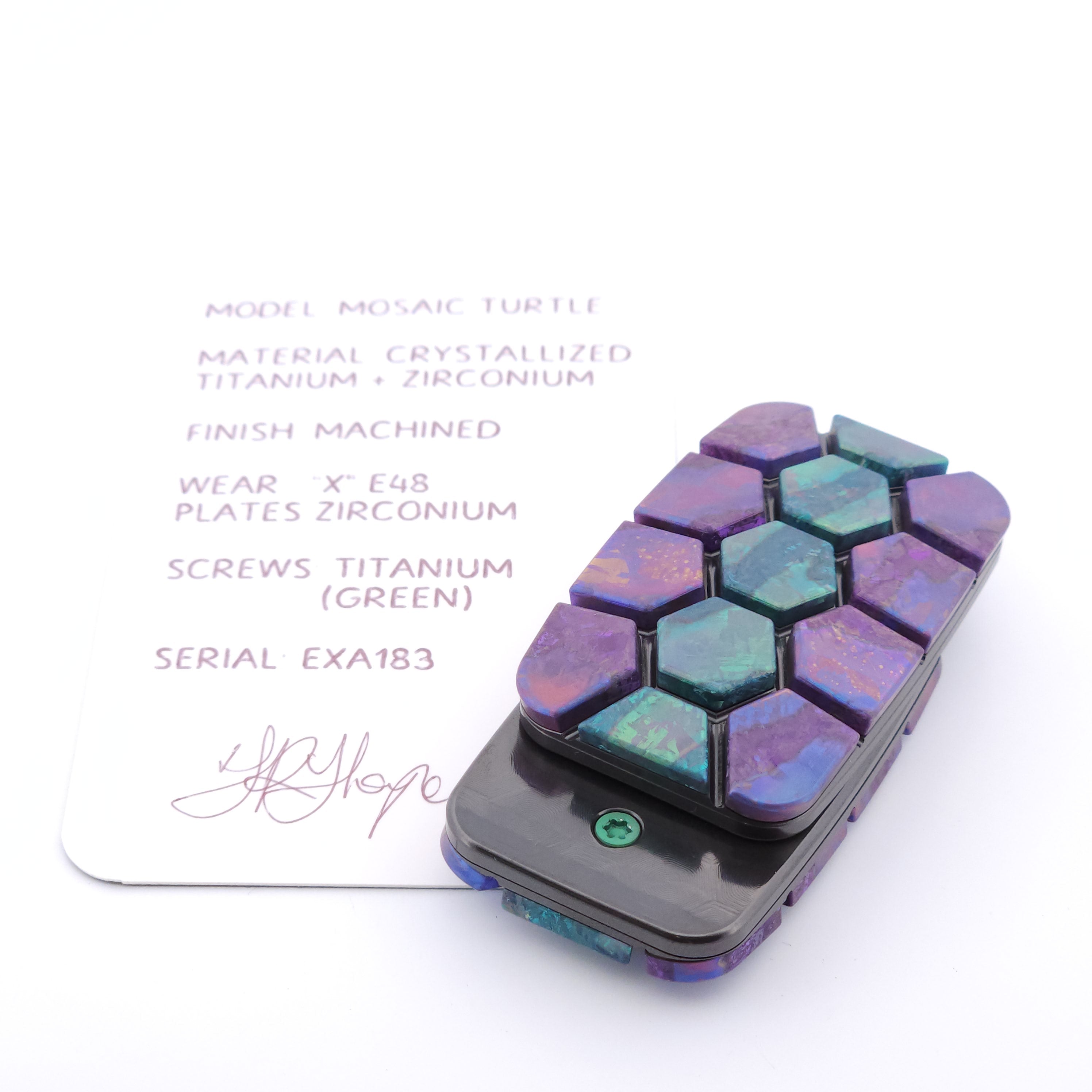 Exotic Custom Slider: EXA183 - Mosaic Turtle