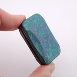 Exotic Custom Slider: EXD150 - Squashed Toad